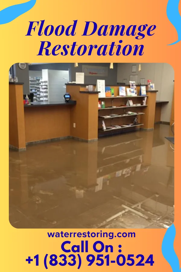 Flood Damage Restoration in Basile, LA